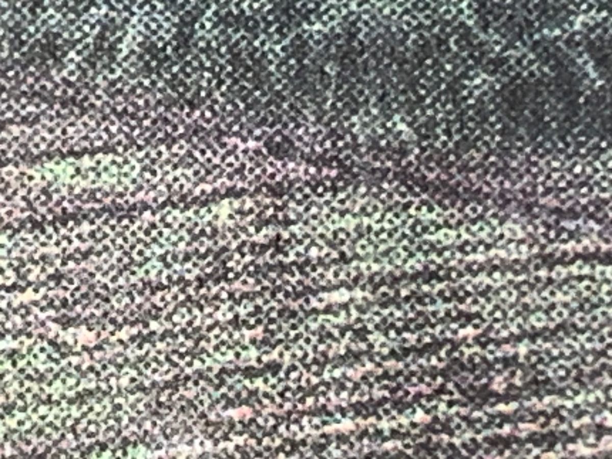 Indignity Morning Podcast No. 520: A fundamentally false premise.