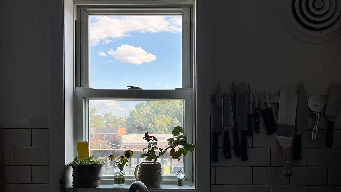 Kitchen window with some cut wildflowers and potted plants (donkeytail, geranium) on the sill and a blue sky and a puffy cloud framed in the top pane