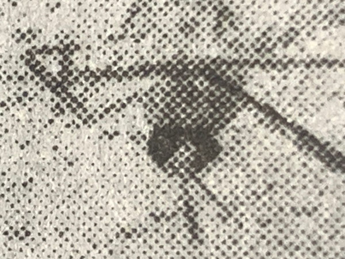 Indignity Morning Podcast No. 543: Chikungunya.