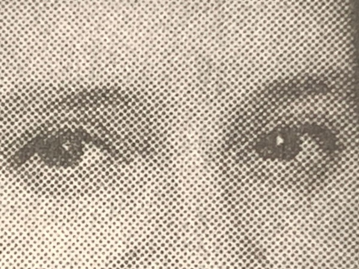 Indignity Morning Podcast No. 550: Let's do the [CURSE WORD] news.