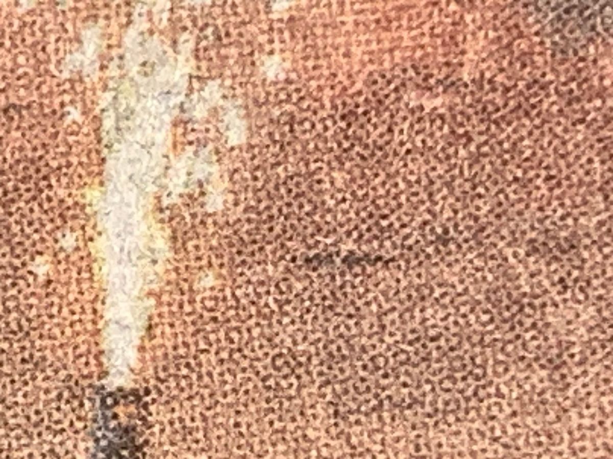 Indignity Morning Podcast No. 552: Watching the world burn.