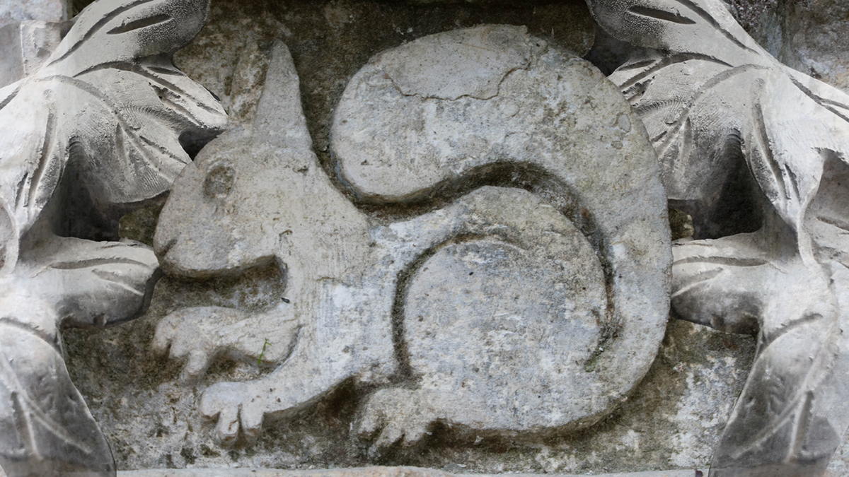 Squirrel carving