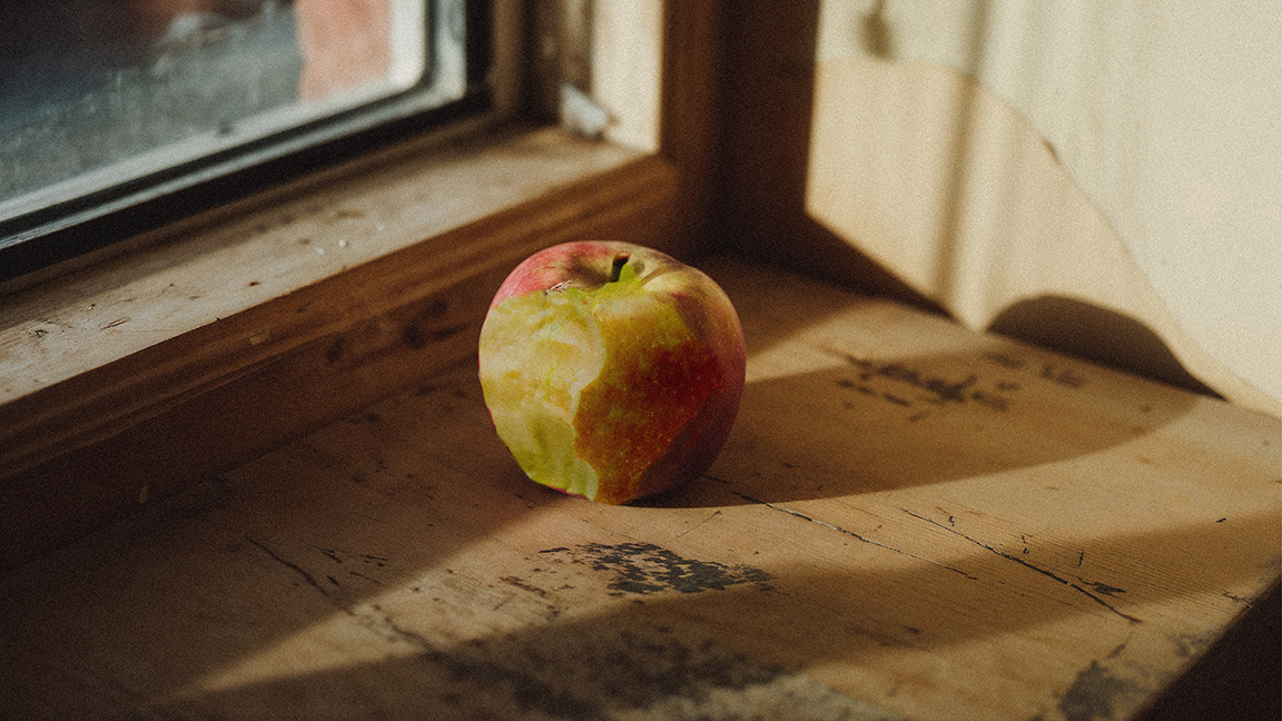 A partially chewed-on apple on a windowsill
