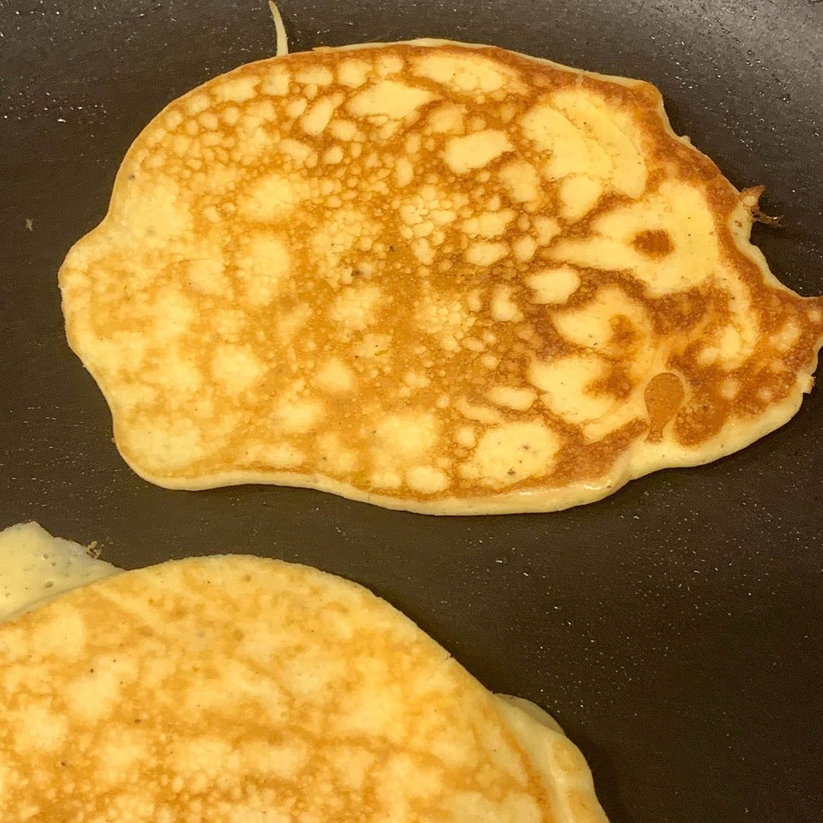 Indignity Vol. 1 No. 19: The philosopher's breakfast.