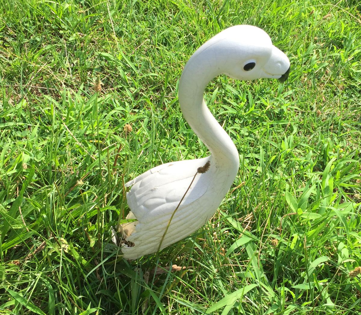 Hmm Weekly for July 28, 2020