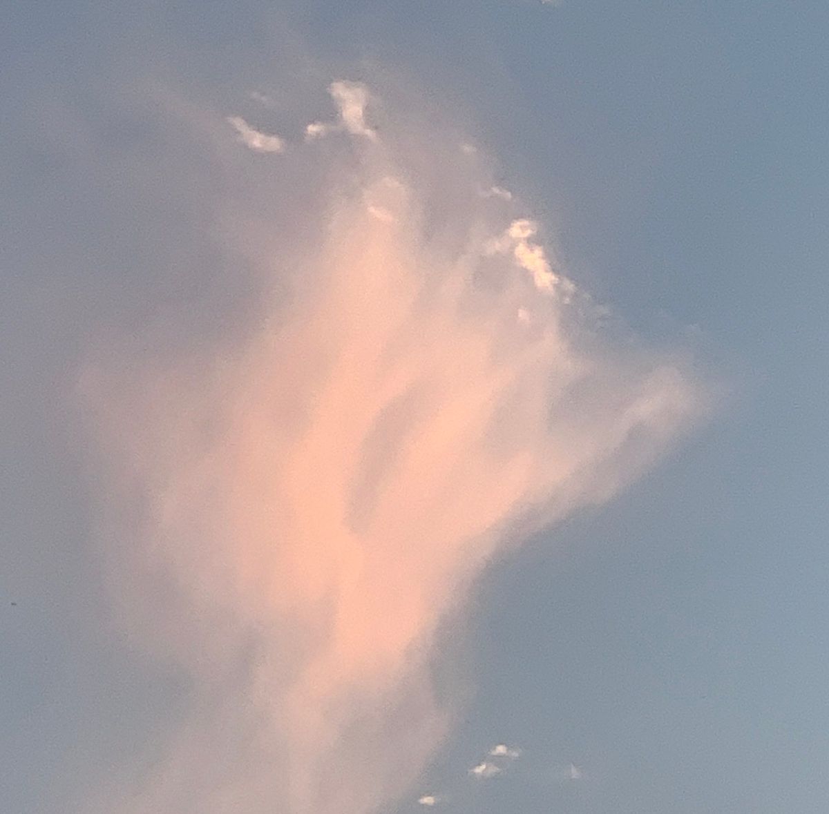 Indignity Vol. 1 No. 5: The dry kind of rain.