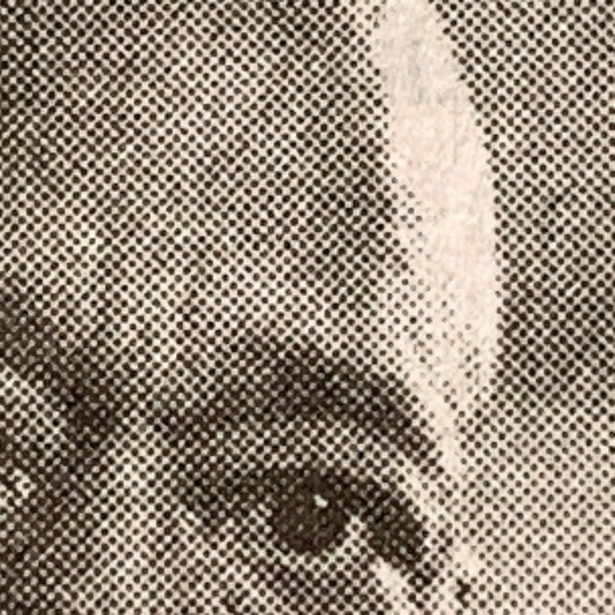 Indignity Morning Podcast No. 24: What four reporters can tell you.