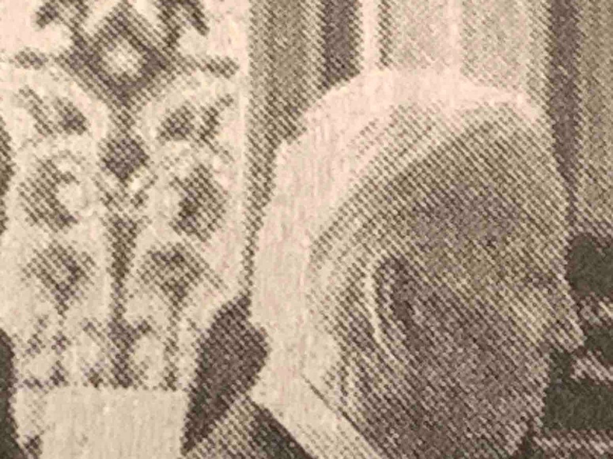 Indignity Morning Podcast No. 22: Roll up the window.