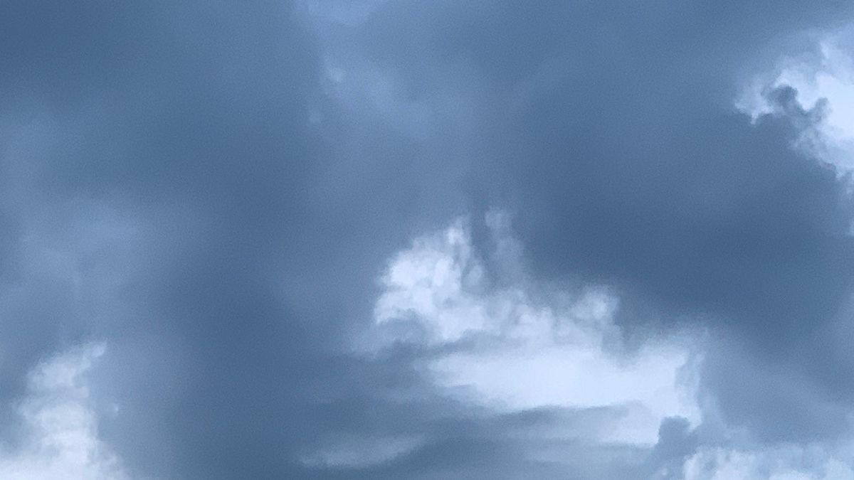 INDIGNITY VOL. 3, NO. 105: Summer Tuesday?