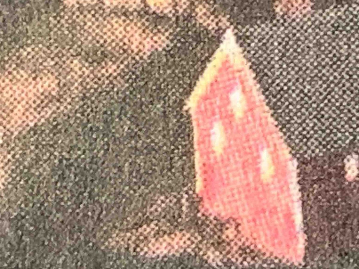 Indignity Morning Podcast No. 36: The same source echoing back and forth.