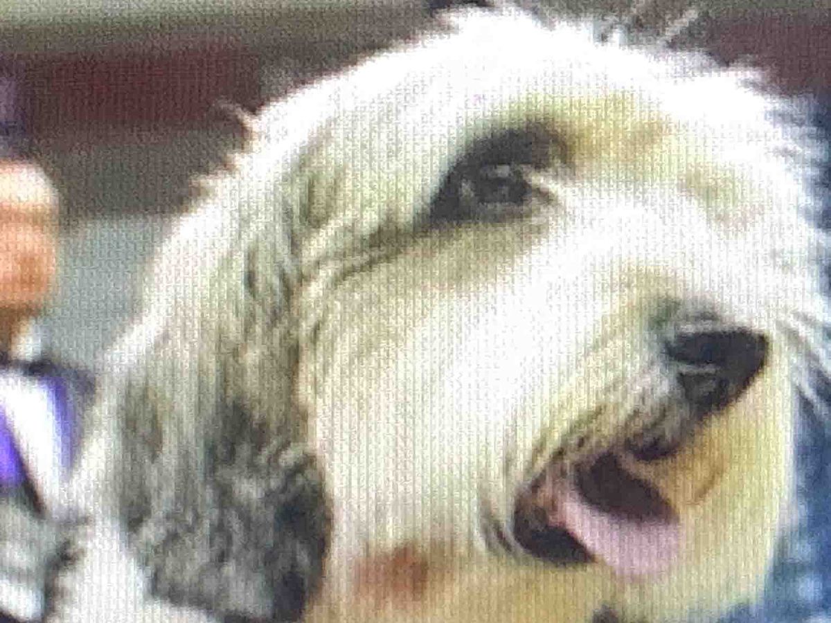 Indignity Morning Podcast No. 64: Kinda boring.