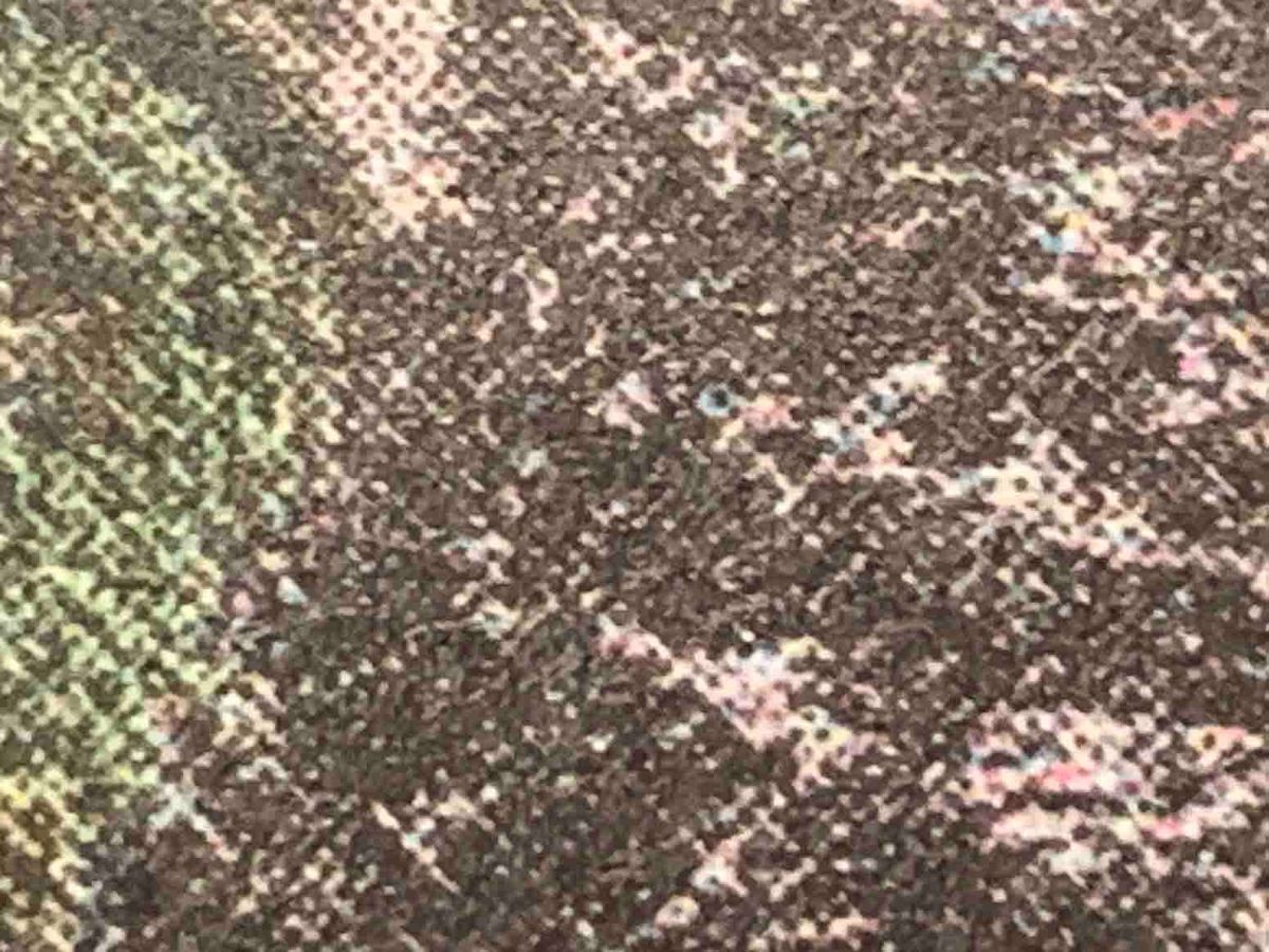 Indignity Morning Podcast No. 96: Significant risk of downpours.