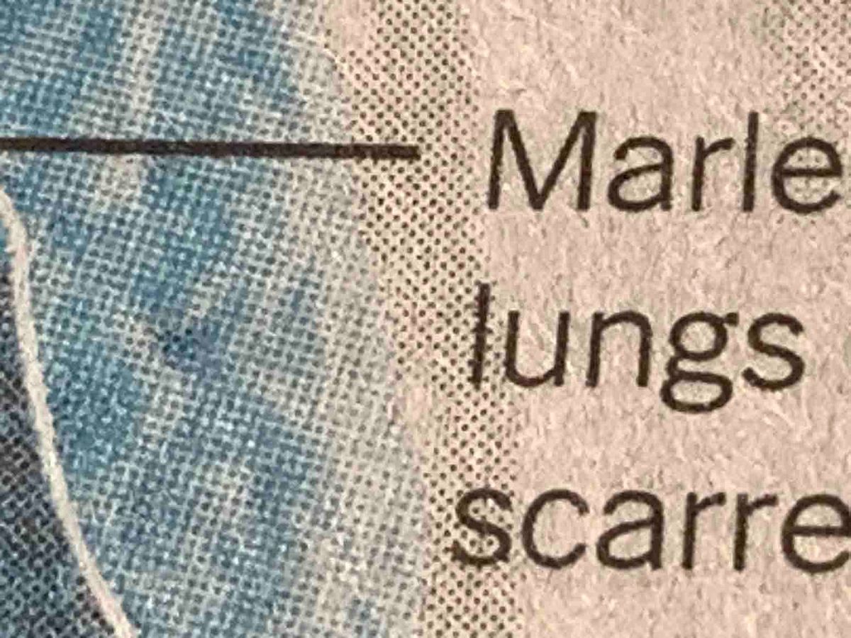 Indignity Morning Podcast No. 133: What are you gonna do?