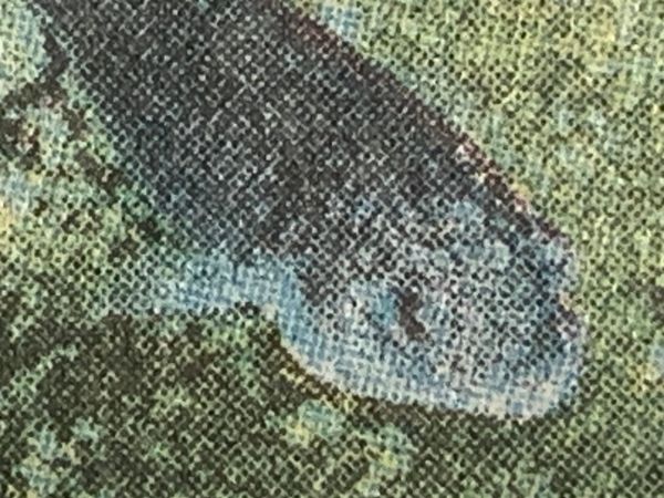 Indignity Morning Podcast No. 271: The view from above.