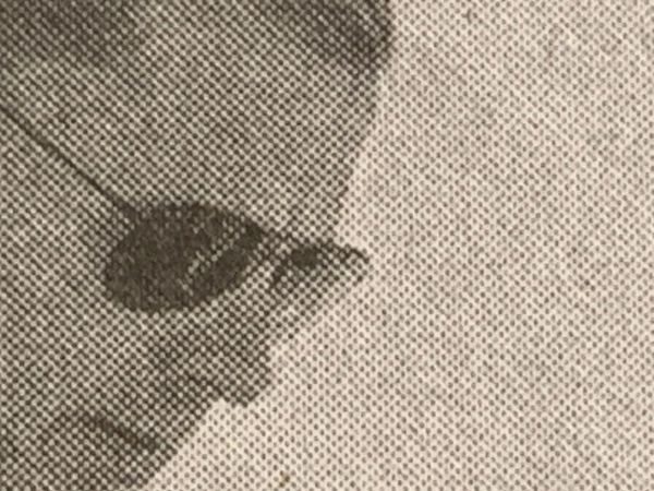 Detail of an imge of Hunter Biden from today's NYT