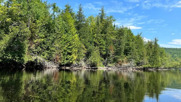 My beautiful vacation nature view of trees and blue sky and flowing river