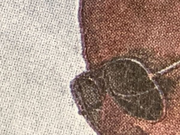 Detail of New York Times photo of Joe Biden wearing his signature aviator shades