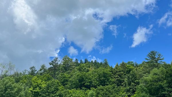 Green trees along a ridge in the Adirondacks reaching up towards a partly cloudy brilliant blue and white sky