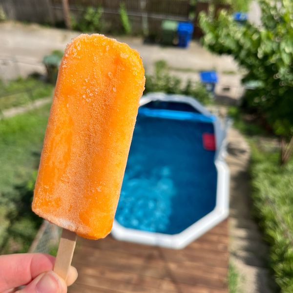 A BRILLIANTLY ORANGE HERSHEY'S ORANGE BLOSSOM IN THE FOREGROUND AND OUT OF FOCUS IN THE BACKGROUND THE MICRO-POOL™ 