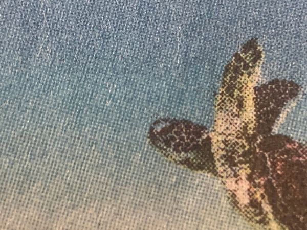 Indignity Morning Podcast No. 317: Special TECHNICAL DIFFICULTIES post: What does "doomed" really mean?