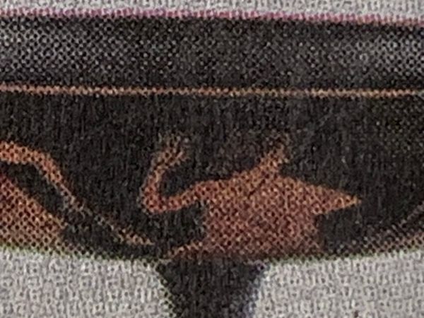 Indignity Morning Podcast No. 349: Random shards.