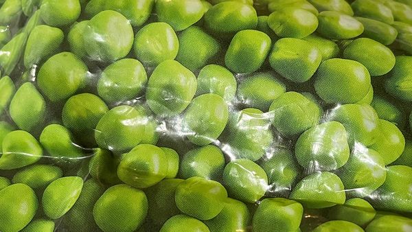 Detail of a photos of a wrinkled bag of frozen peas cropped to a pile of peas