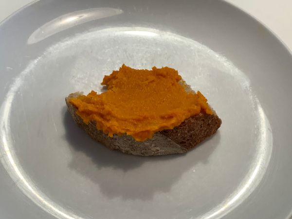 A piece of bread with ragged edges, slathered in carrot dip