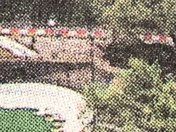 Indignity Morning Podcast No. 470: The National Chicken Council.