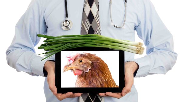 A doctor holding a tablet bearing the image of a chicken and there's a bunch of scallions on top the the tablet hey man I don't know it's Friday