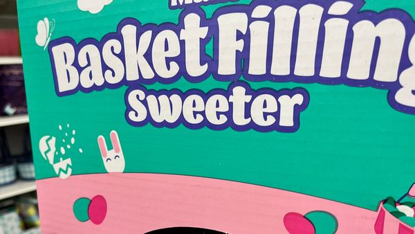 Hop to some bargains