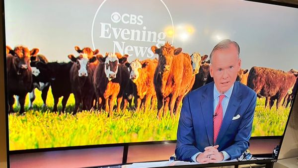 Screenshot of today's CBS EVENING NEWS with John Dickerson and Maurice DuBois, but Maurice was out today so it's just John.