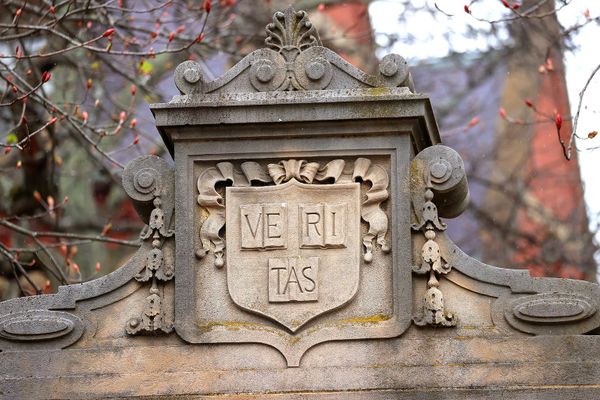 Subtle Trump support