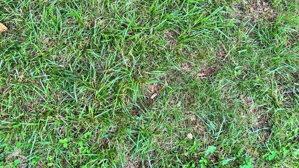 SUMMER FRIDAYS DEP'T.: Easy season