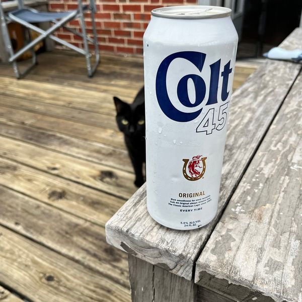 A cold sweaty can of COLT 45 on the deck and a cat
