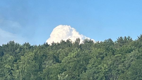 Adirondack treeline against blue sky and the top of a massive cumulus cloud