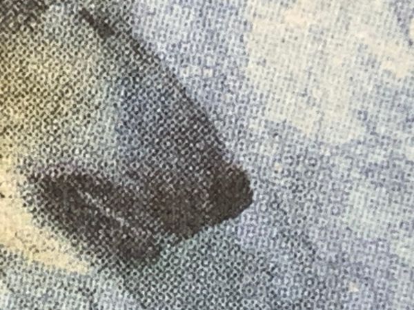 Indignity Morning Podcast No. 506: Down here on the sweaty rock.