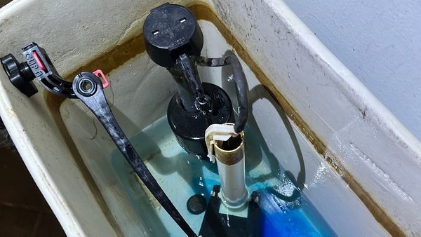 The stuff inside the toilet tank; the flusher thing and the other thing that lets the water in.