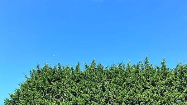 SUMMER FRIDAYS DEP'T.: If we were a fast-food joint on the Turnpike we wouldn't take the day off like this