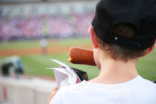 A child, viewed from behind, sits wearing a black baseball cap and eating a corn dog. 