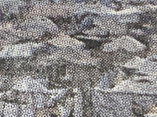 Indignity Morning Podcast No. 516: Wet sand.