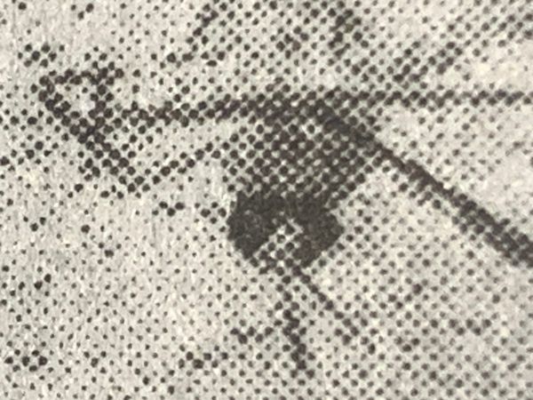 Indignity Morning Podcast No. 543: Chikungunya.