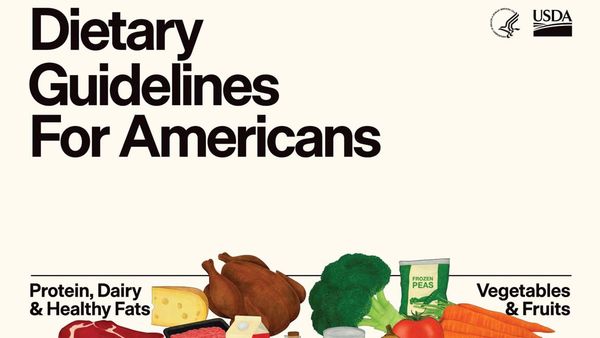 Top of the cover of DIETARY GUIDELINES FOR AMERICANS 