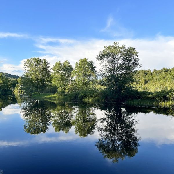 Blue sky, trees, and mountains perfectly reflected on a totally flat river.