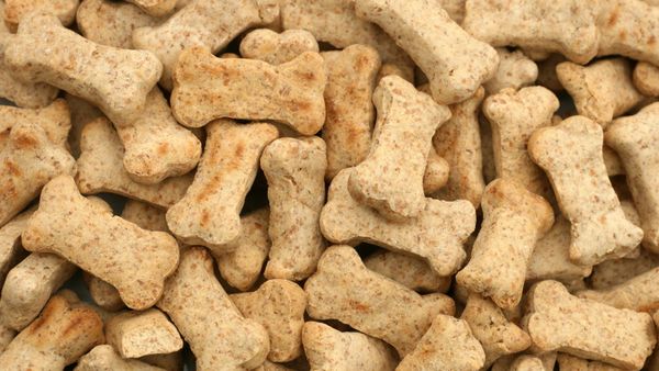 Indignity Vol. 1 No. 4: Unleashed from the facts.