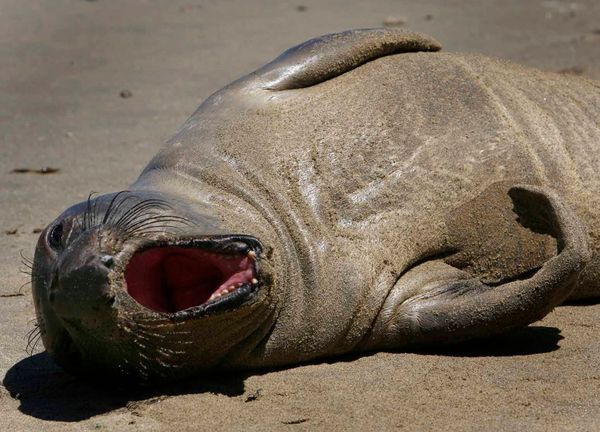 Wordle Postgame Report, September 7