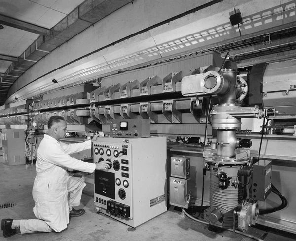 Wordle Postgame Report, November 29