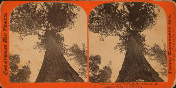 Wordle Postgame Report, weekend CATCH up, October 21-23