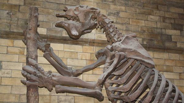 Wordle Postgame Report, epic CATCH up, October 6-20