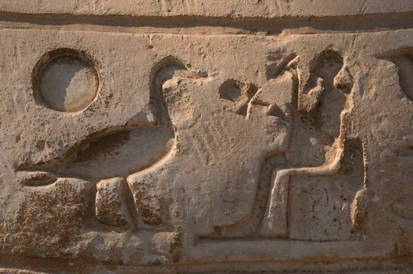 Wordle Postgame Report, weekend CATCH up, November 18-20