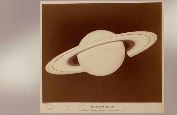 Wordle Postgame Report, October 25